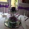 double fishbowl purple