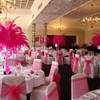 wedding set up chair cover feathers pink